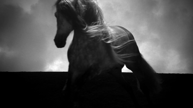 Video Reference: Cloud, Atmosphere, Sky, Flash photography, Human body, Grey, Style, Black-and-white, Audio equipment, Performing arts