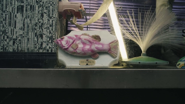 Video Reference: Purple, Art, Glass, Magenta, Fashion accessory, Display case, Visual arts, Petal, Carmine, Food