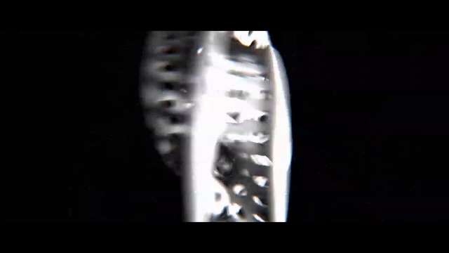 Video Reference: Jaw, Font, Event, Transparent material, Fashion accessory, Darkness, Macro photography, Jewellery, Electric blue, Elbow