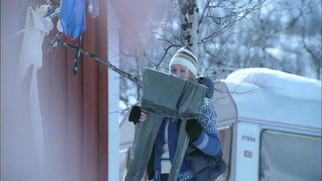 Video Reference: Window, Snow, Twig, Tree, Event, Freezing, Winter, Audio equipment, Automotive exterior, Vehicle door