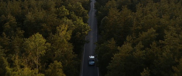 Video Reference: Automotive lighting, Road surface, Tree, Natural landscape, Asphalt, Body of water, Sunlight, Car, Wood, Plant