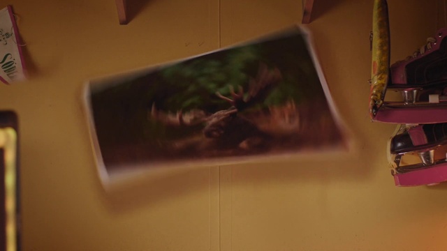 Video Reference: Rectangle, Wood, Tree, Art, Tints and shades, Plant, Twig, Event, Paint, Room