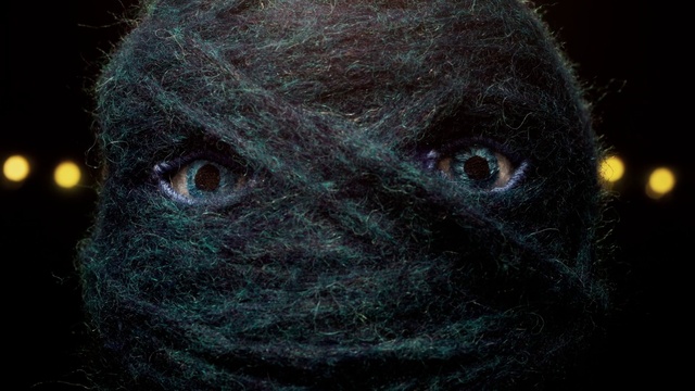 Video Reference: Head, Eye, Human body, Terrestrial animal, Art, Snout, Close-up, Fur, Electric blue, Wildlife