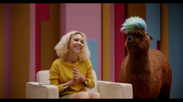 Video Reference: Smile, Fawn, Camelid, Event, Entertainment, Magenta, Happy, Chair, Camel, Fun