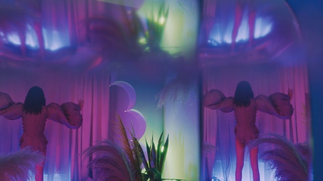 Video Reference: Plant, Purple, Light, Entertainment, Flower, Violet, Performing arts, Magenta, Music, Performance art