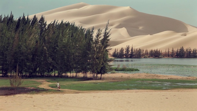 Video Reference: Water, Plant, Ecoregion, Sky, Natural environment, Natural landscape, Tree, Highland, Mountain, Biome