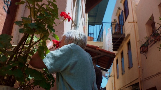 Video Reference: Plant, Flower, Building, Window, Wood, House, Flowering plant, Flower Arranging, Facade, Petal