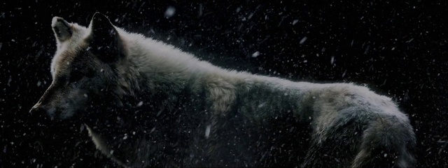 Video Reference: Water, Fluid, Liquid, Grey, Waterfall, Freezing, Water feature, Fur, Asphalt, Wind wave