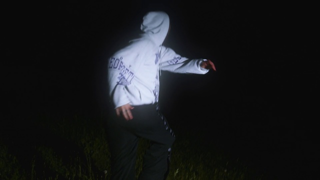 Video Reference: Flash photography, Sleeve, Gesture, Elbow, Entertainment, Performing arts, Grass, T-shirt, Plant, Event