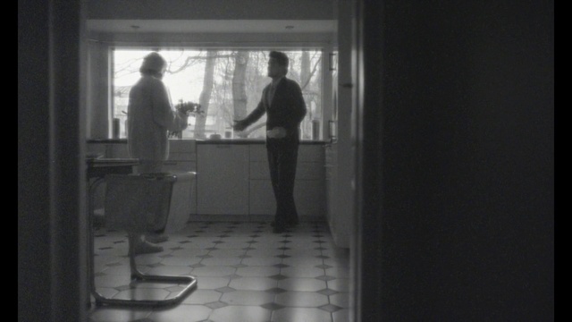 Video Reference: Standing, Gesture, Grey, Black-and-white, Flash photography, Tints and shades, Tree, Flooring, Window, Darkness