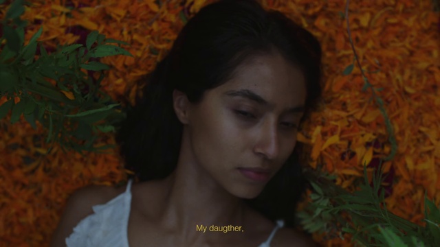 Video Reference: Forehead, Nose, Cheek, Lip, Chin, Hairstyle, Eyebrow, Plant, Human, Eyelash