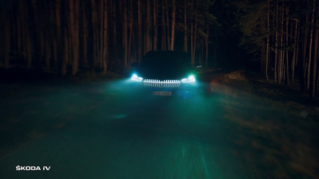 Video Reference: Land vehicle, Vehicle, Car, Automotive lighting, Tire, Headlamp, Automotive design, Asphalt, Motor vehicle, Tree