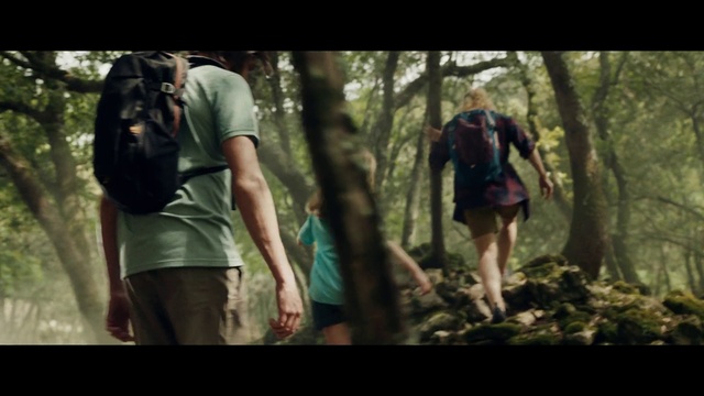 Video Reference: Plant, People in nature, Tree, Organism, Gesture, Luggage and bags, Terrestrial plant, Shorts, Bag, Recreation