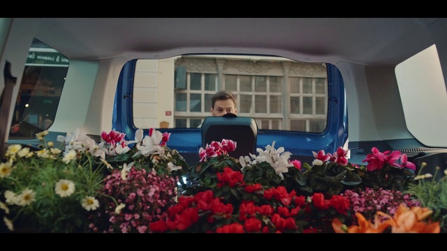 Video Reference: Flower, Plant, Window, Vehicle, Car, Building, Motor vehicle, Automotive lighting, Petal, Pink