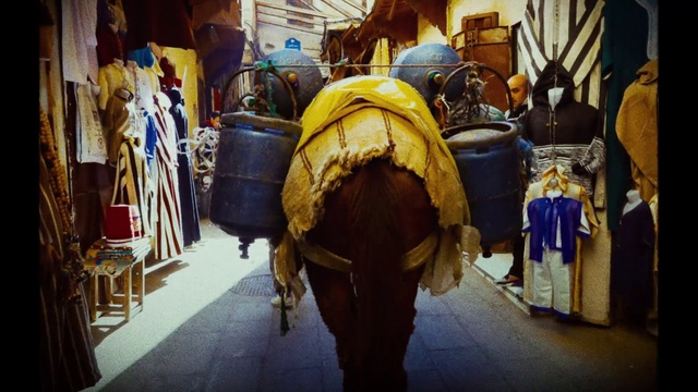 Video Reference: Helmet, Working animal, City, Art, Personal protective equipment, Road, Event, Market, Street, Motor vehicle