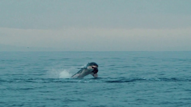 Video Reference: Water, Sky, Fluid, Cloud, Lake, Wind wave, Recreation, Horizon, Wave, Ocean