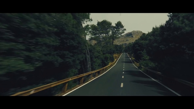 Video Reference: Sky, Plant, Tree, Road surface, Natural landscape, Wood, Asphalt, Slope, Rectangle, Adaptation