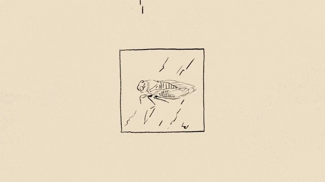 Video Reference: insect, sketch, drawing, handdrawn, line art, minimalist, paper, framed, centered, beige background, illustration, scientific sketch