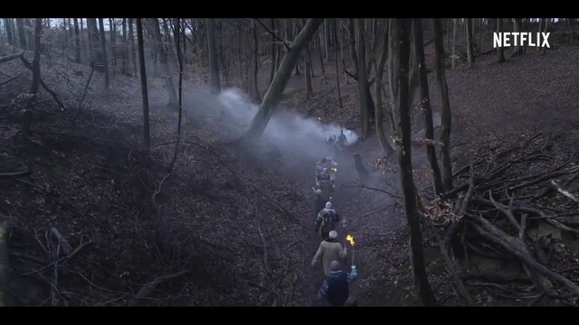 Video Reference: Plant, Tree, Atmospheric phenomenon, Wood, Smoke, Midnight, Natural landscape, Grass, Forest, Event