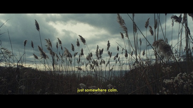 Video Reference: Cloud, Sky, Atmosphere, Plant, Natural landscape, Grass, Horizon, Cumulus, Grassland, Twig