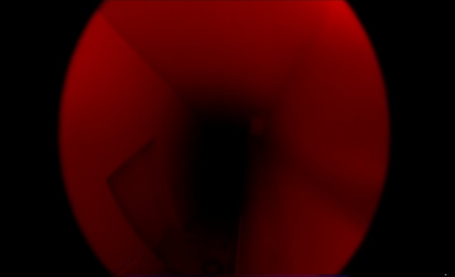 Video Reference: Tints and shades, Circle, Magenta, Font, Close-up, Symmetry, Darkness, Carmine, Petal, Pattern