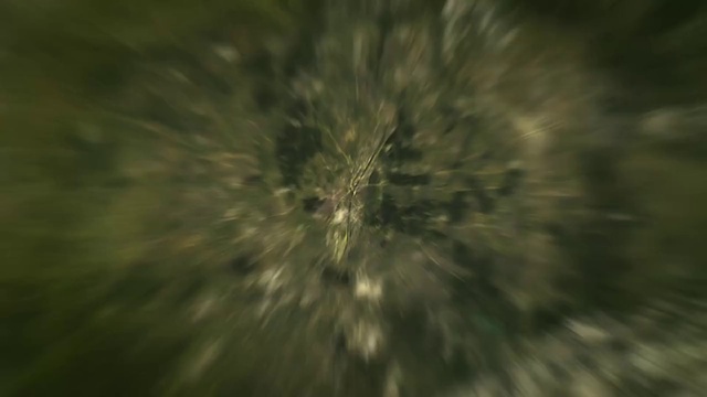 Video Reference: Water, Wood, Terrestrial plant, Sky, Symmetry, Grass, Circle, Pattern, Event, Darkness