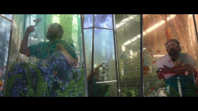 Video Reference: Window, Organism, Terrestrial plant, Art, Adaptation, Glass, Cg artwork, Guitar, Forest, Darkness