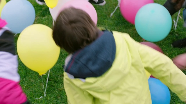 Video Reference: Green, Balloon, Happy, Toy, Yellow, People in nature, Grass, Leisure, Fun, Community