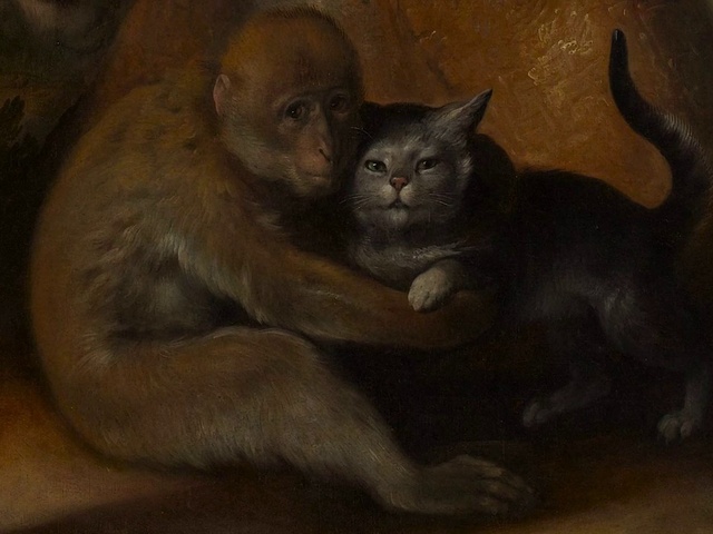 Video Reference: Cat, Carnivore, Grey, Painting, Window, Felidae, Whiskers, Art, Snout, Terrestrial animal