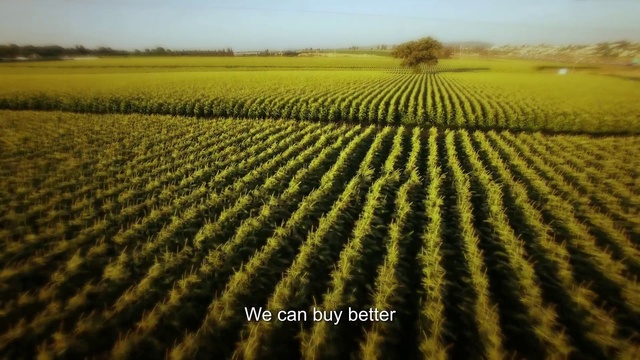 Video Reference: Sky, Plant, Natural landscape, Land lot, Grass, Agriculture, Grassland, Landscape, Plain, Rural area