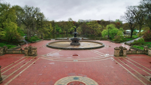 Video Reference: Plant, Sky, Cloud, Tree, Water, Road surface, Fountain, Grass, Landscape, Asphalt