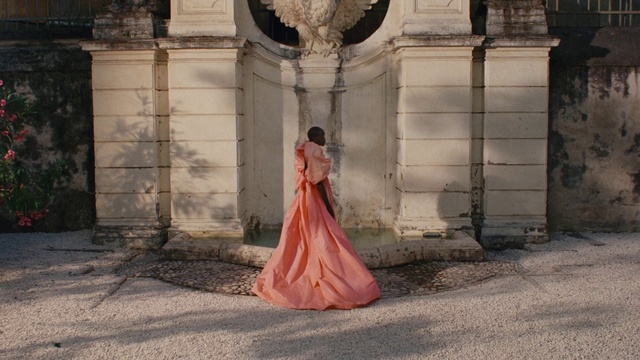 Video Reference: Dress, Temple, Gown, Plant, Flash photography, Door, Waist, Bridal party dress, Fashion design, Formal wear