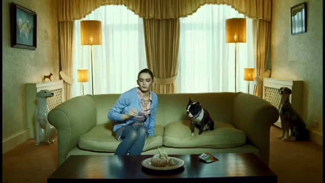Video Reference: Table, Dog, Furniture, Property, Couch, Window, Comfort, Picture frame, Curtain, Smile