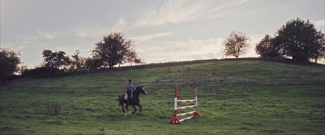 Video Reference: Horse, Cloud, Sky, Plant, Tree, Working animal, Horse tack, Bridle, Grass, Horse supplies