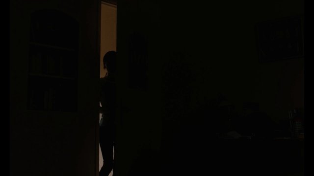 Video Reference: dark, indoor, doorway, silhouette, person, backlit, interior, home, low-light, shadow, night, room