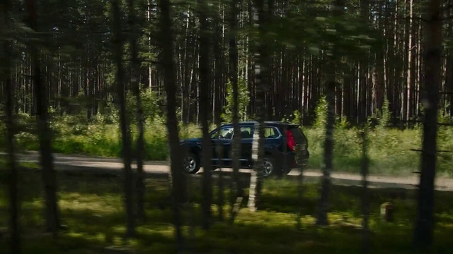 Video Reference: Tire, Plant, Wheel, Car, Vehicle, Automotive tire, Tree, Tread, Automotive exterior, Automotive design