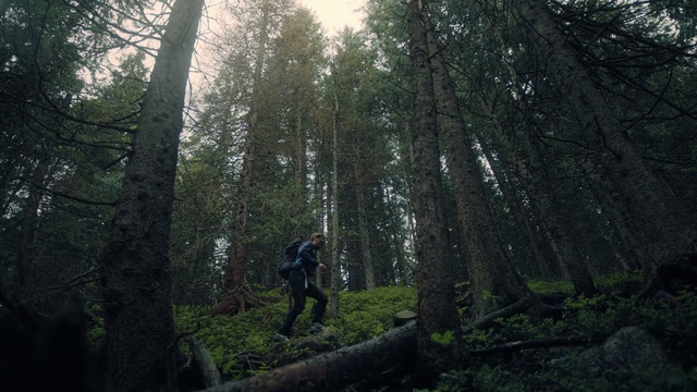 Video Reference: Plant, Sports equipment, Tree, Wood, Natural landscape, Terrestrial plant, People in nature, Trunk, Sky, Deciduous