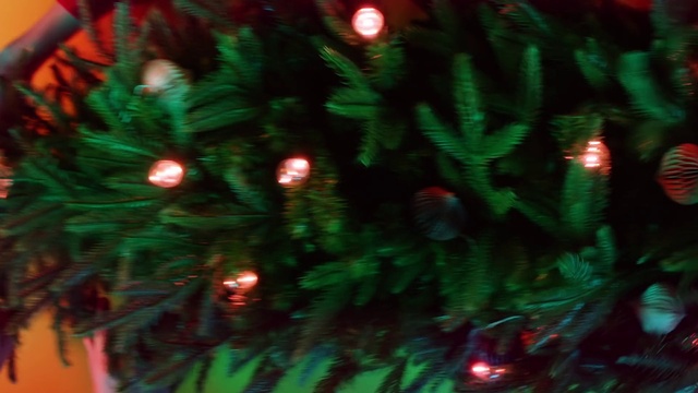 Video Reference: Christmas tree, Christmas ornament, Holiday ornament, Branch, Larch, Ornament, Evergreen, Woody plant, Christmas decoration, Terrestrial plant