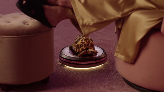 Video Reference: Gesture, Metal, Coin, Jewellery, Event, Fashion accessory, Currency, Macro photography, Bronze, Wrist