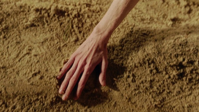 Video Reference: Hand, Arm, Leg, People in nature, Human body, Wood, Gesture, Nail, Finger, Grass