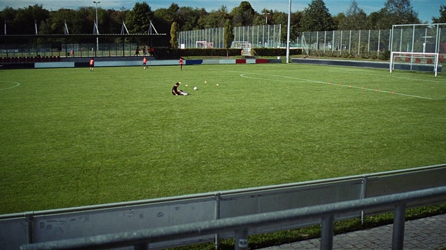 Video Reference: Sports equipment, Plant, Soccer, Player, Sky, Ball game, Land lot, Tree, Flooring, Sports