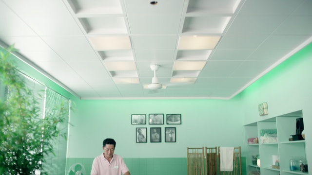 Video Reference: Green, Building, Plant, House, Ceiling, Shelf, Window, Flooring, Room, Houseplant