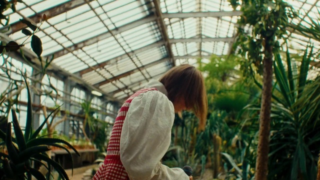 Video Reference: Plant, Botany, Greenhouse, Organism, Grass, Terrestrial plant, Leisure, Wood, Garden, Spring