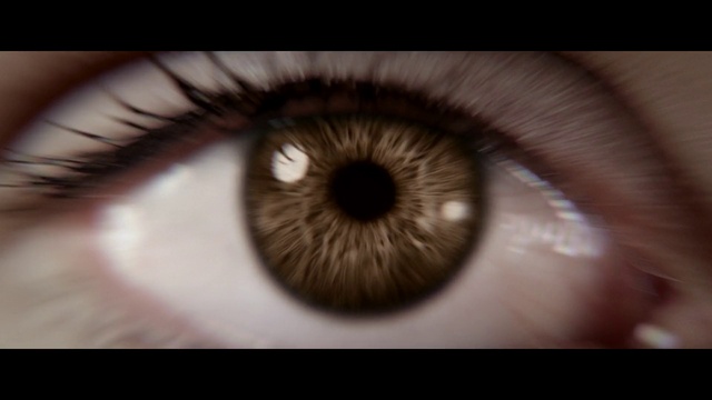 Video Reference: Eye, Eyelash, Iris, Nerve, Tints and shades, Circle, Blood vessel, Macro photography, Electric blue, Cameras & optics