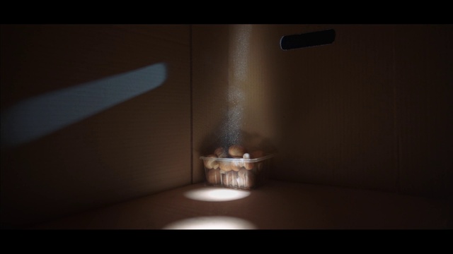 Video Reference: Wood, Gas, Tints and shades, Electricity, Light fixture, Automotive lighting, Ceiling, Metal, Hardwood, Darkness