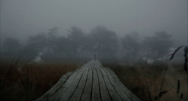 Video Reference: Sky, Atmosphere, Water, Plant, Fog, Tree, Natural landscape, Atmospheric phenomenon, Grey, Haze