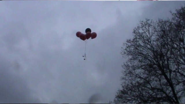 Video Reference: Cloud, Sky, Parachute, Tree, Natural landscape, Parachuting, Twig, Event, Meteorological phenomenon, Wing