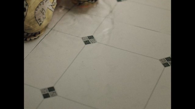 Video Reference: tile floor, indoor, patterned tiles, floor, fabric, close-up, blurry, household, interior, low angle