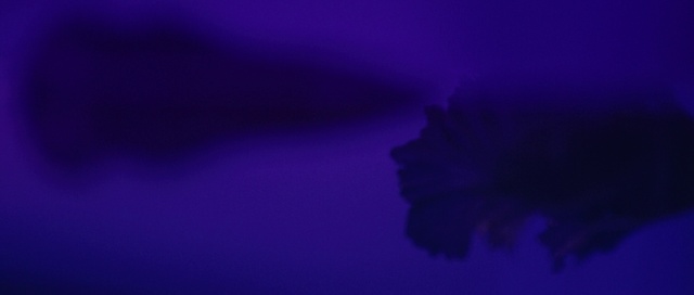 Video Reference: Blue, Purple, Azure, Cloud, Sky, Violet, Plant, Petal, Electric blue, Magenta