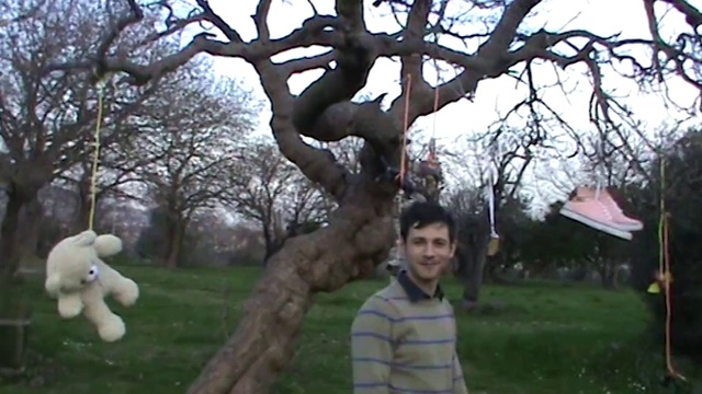 Video Reference: Plant, Sky, Tree, Botany, People in nature, Twig, Organism, Gesture, Happy, Grass